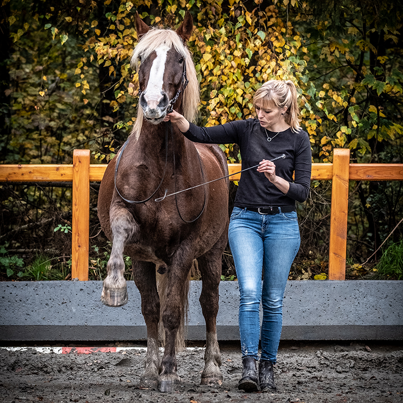 Watson und Jenny im Herbst 2020-16141